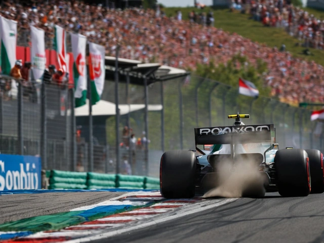 F1 2024 Hungarian Grand Prix: Norris Dominates Last Practice Session